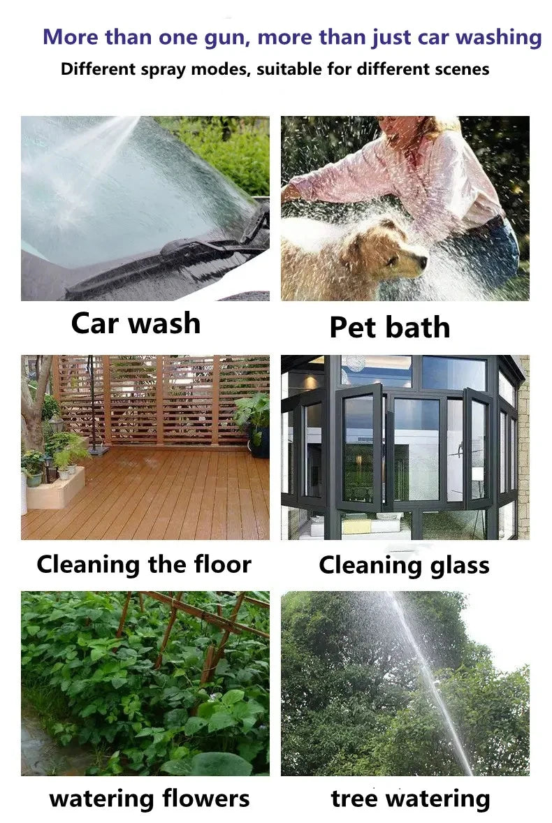 The Cleaning Expert