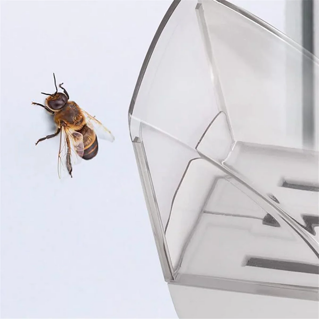 The smart insect catcher
