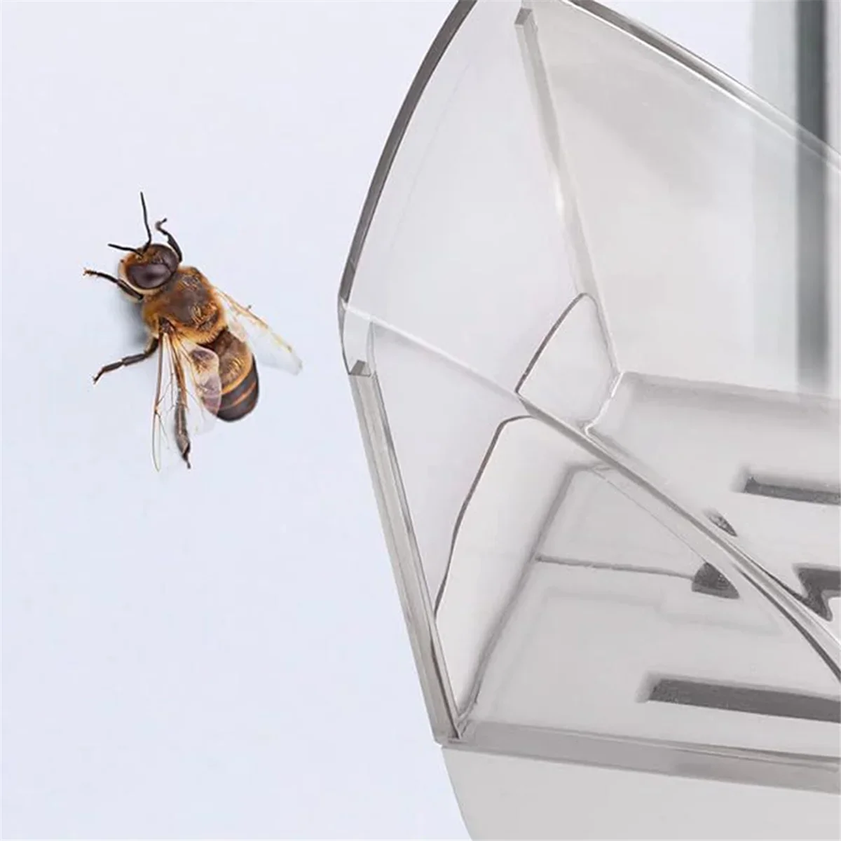 The smart insect catcher
